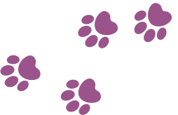 Paws