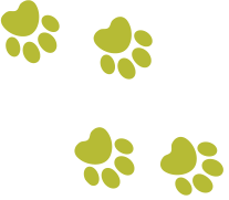 Paws