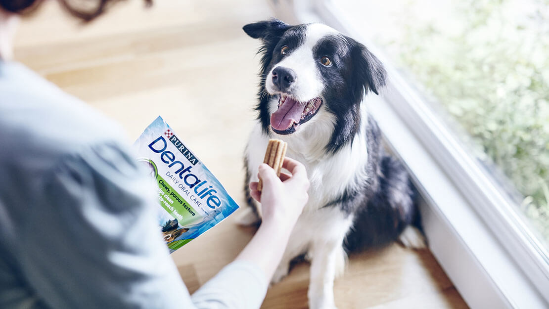 Dentalife® gryzaki dla psów