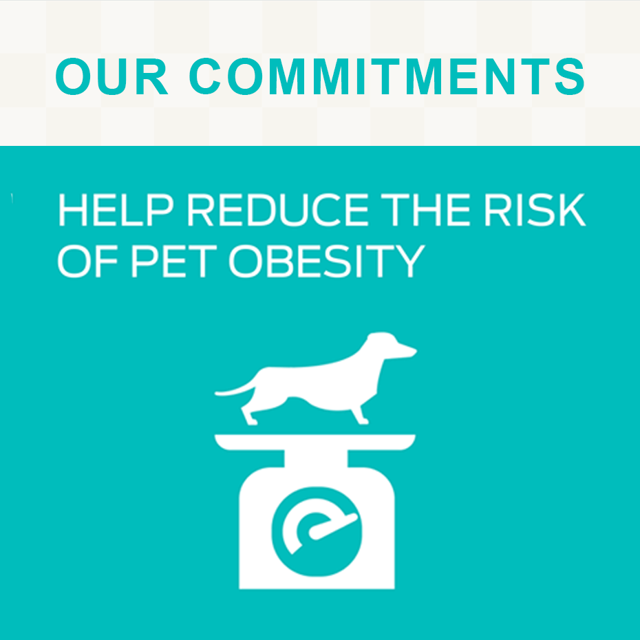 Commitments dog obesity