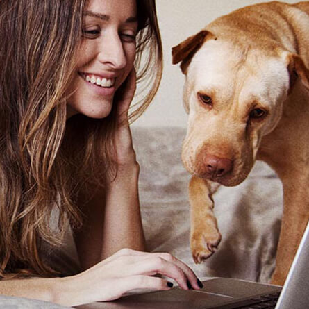 Kobieta i pies patrzą na komputer