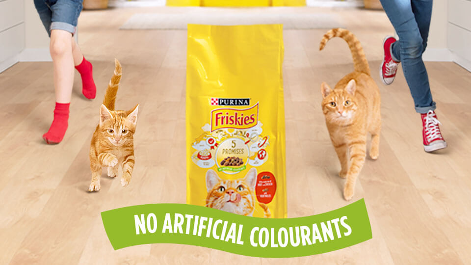 Friskies® karma dla kotów