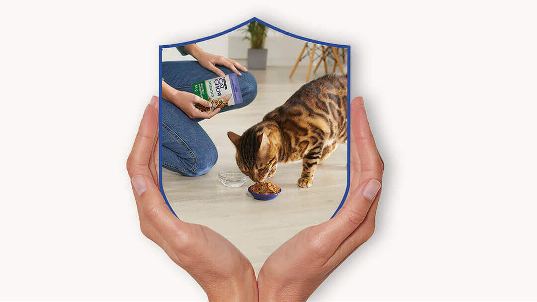 CatChow® karmy dla kotów​