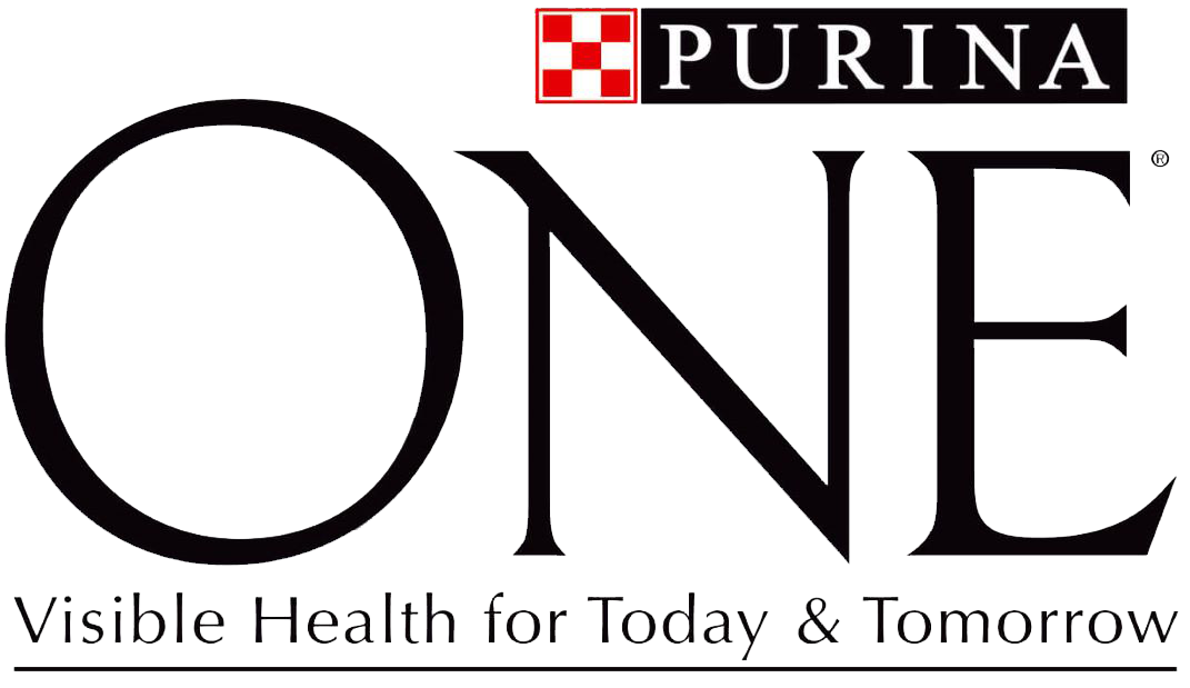 ONE logo