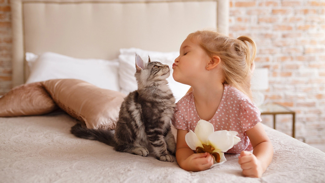 Dziecko i kot - czyli jak przygotować zwierzaki na pojawienie się nowego członka rodziny