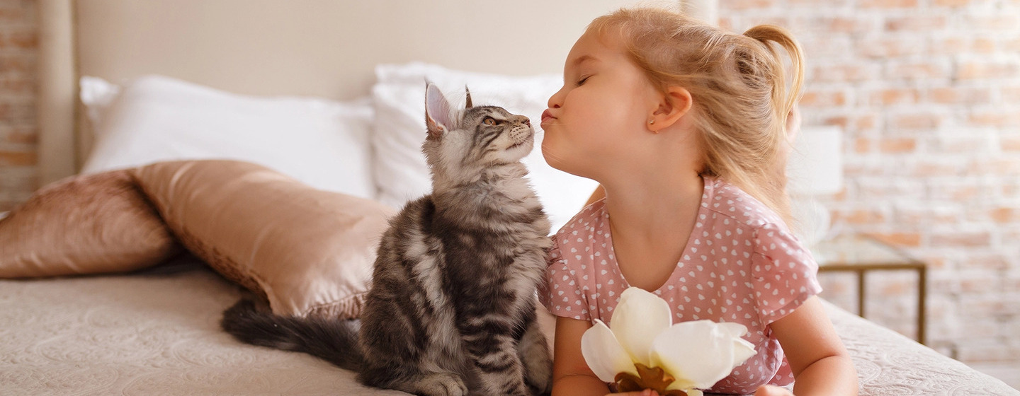 Dziecko i kot - czyli jak przygotować zwierzaki na pojawienie się nowego członka rodziny