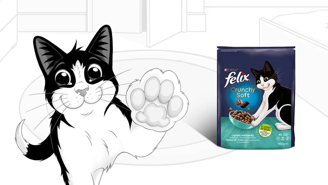 Felix® Crunchy Soft karma dla kotów