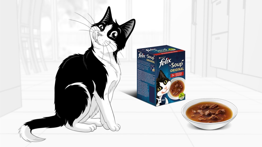 Felix® Soup karma dla kotów