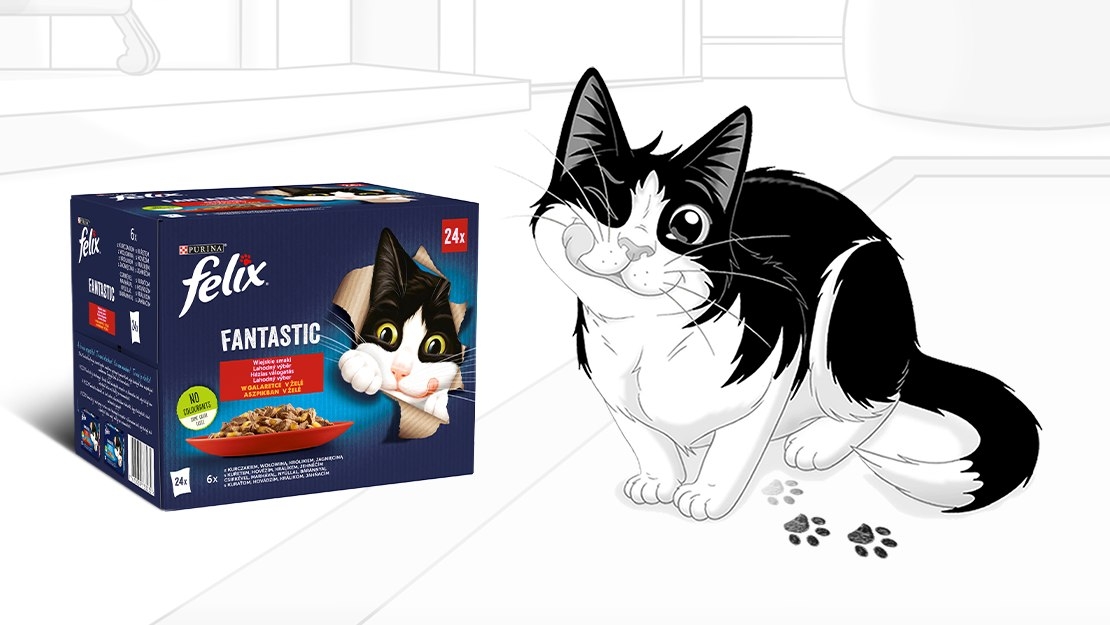Felix® Fantastic  karma dla kotów 
