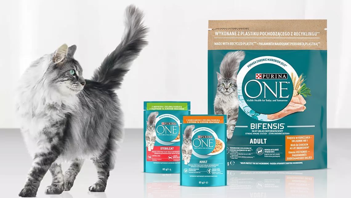 Purina® ONE®  Bifensis​