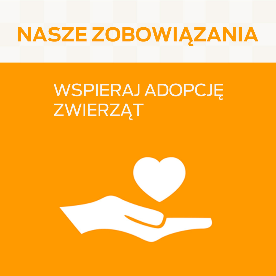 Wspieraj adopcję zwierząt