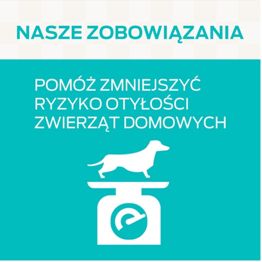 Nasze zobowiązania