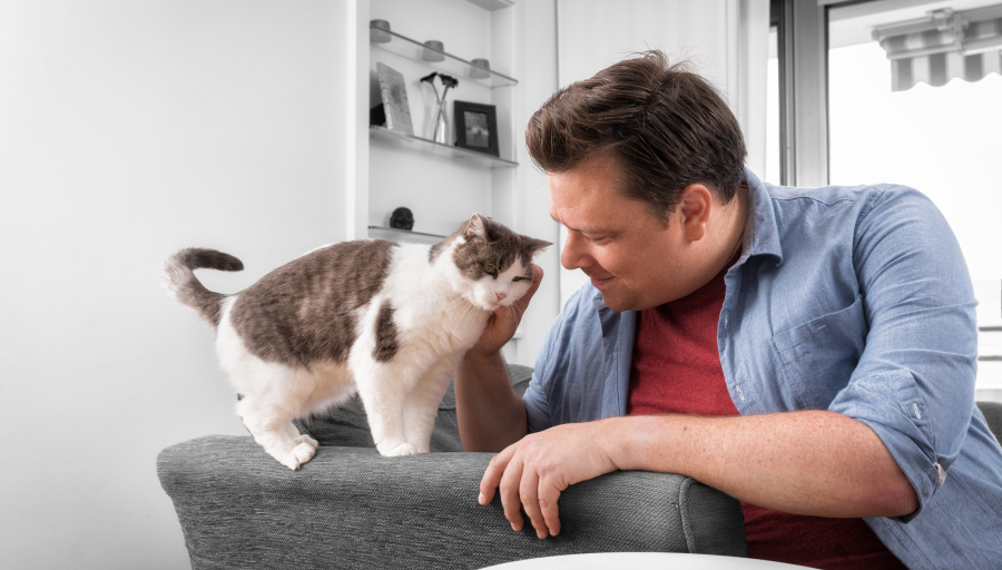 Mężczyzna głaskający kota, stojącego na ramieniu kanapy