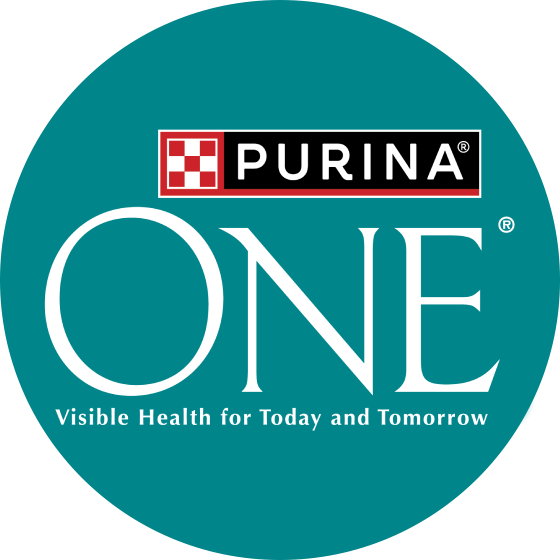 PURINA ONE®  logo