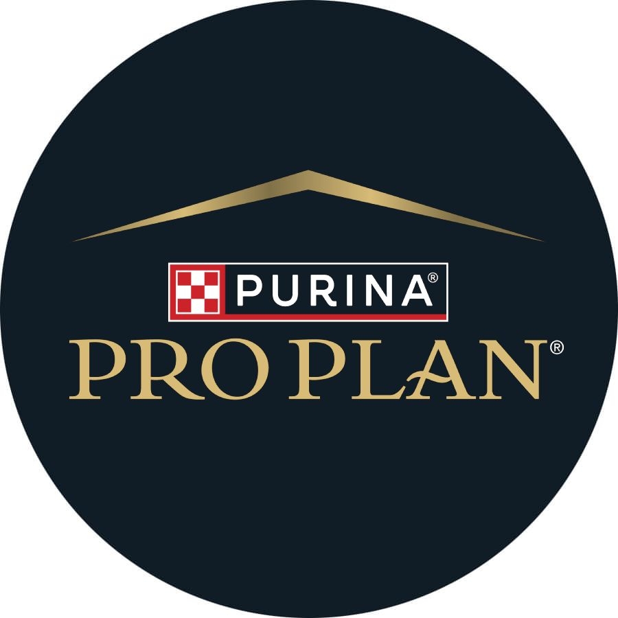 Pro Plan® Veterinary Dietsne CN Convalescence™ | Purina