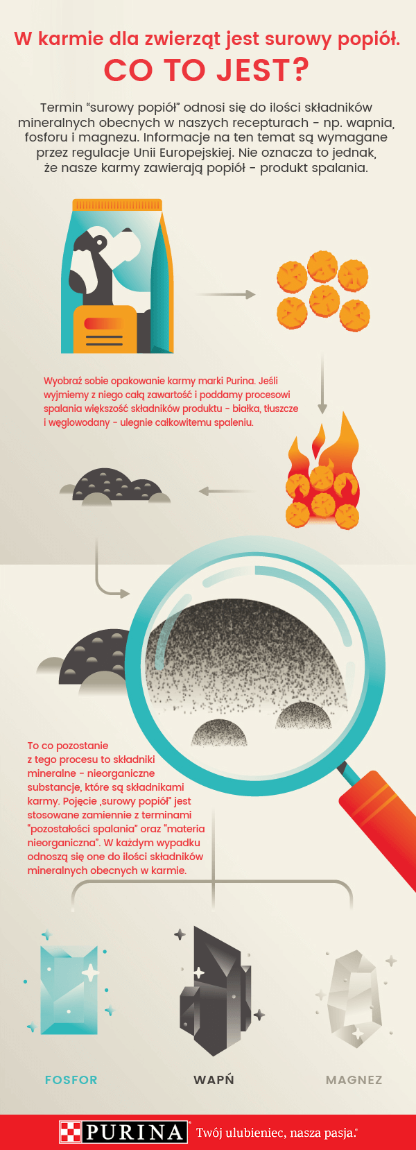 infografika Purina - co to jest surowy popiół w karmie dla psów i kotów