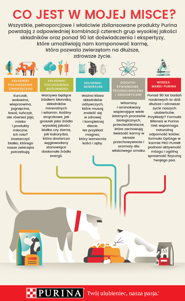 infografika Purina - co jest w karmie dla psów i kotów