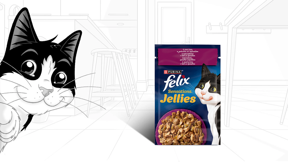 Felix