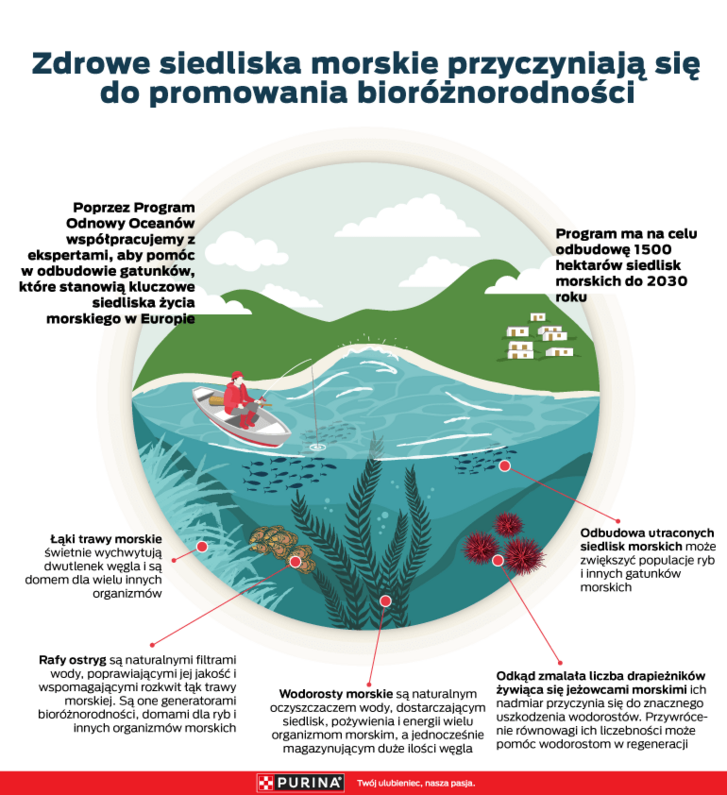 Infografika o zdrowych siedliskach morskich