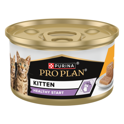 kitten healthy start
