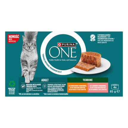 Purina One Adult