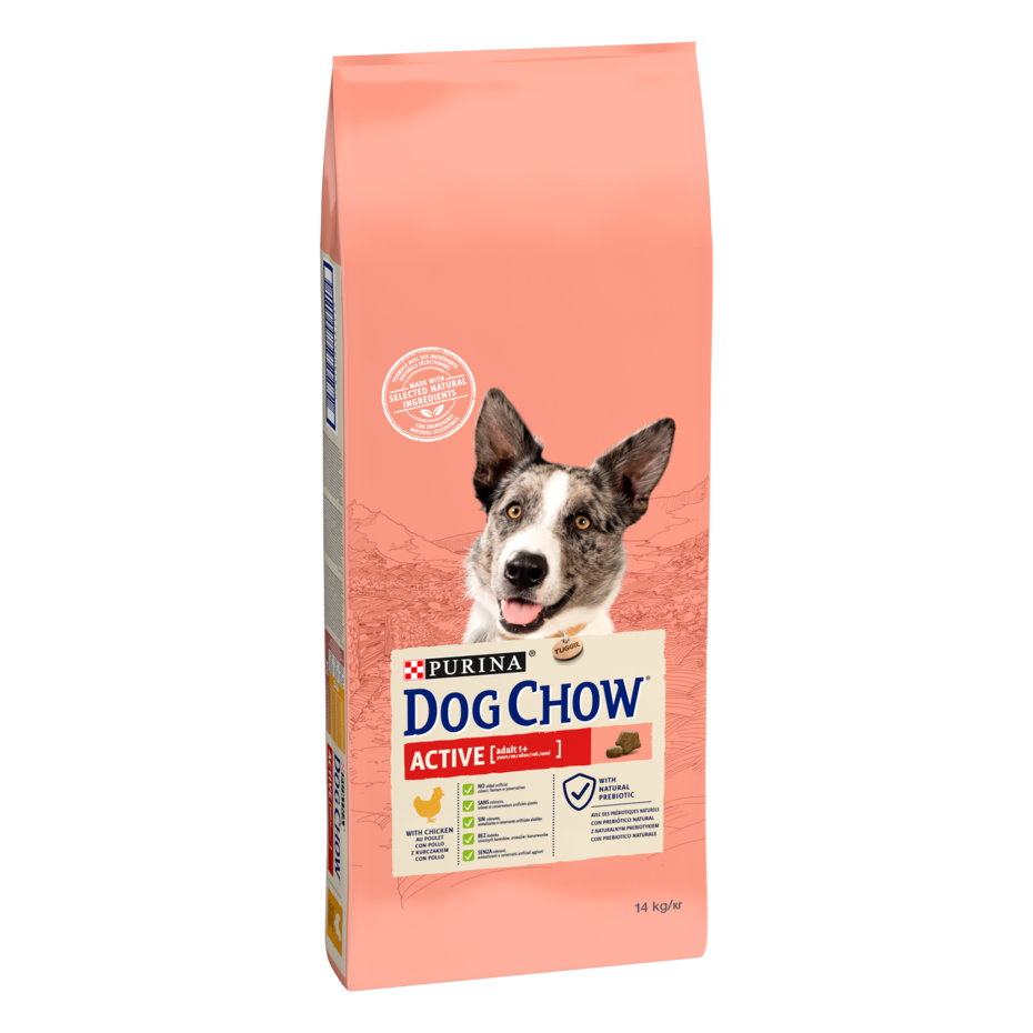 Dog Chow Active Adult z Kurczakiem