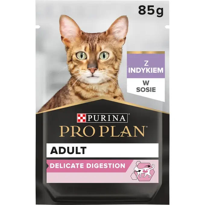 Pro Plan