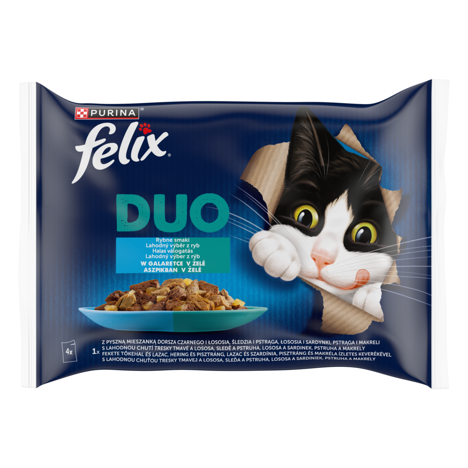 Felix