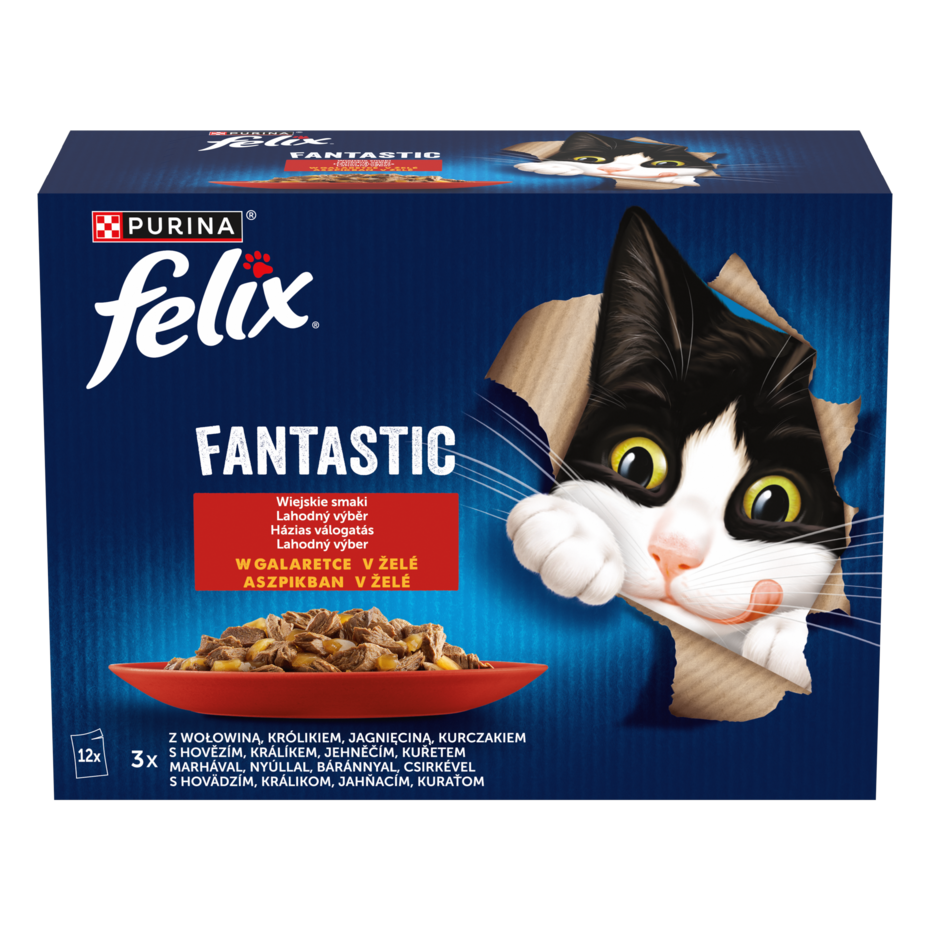 Felix