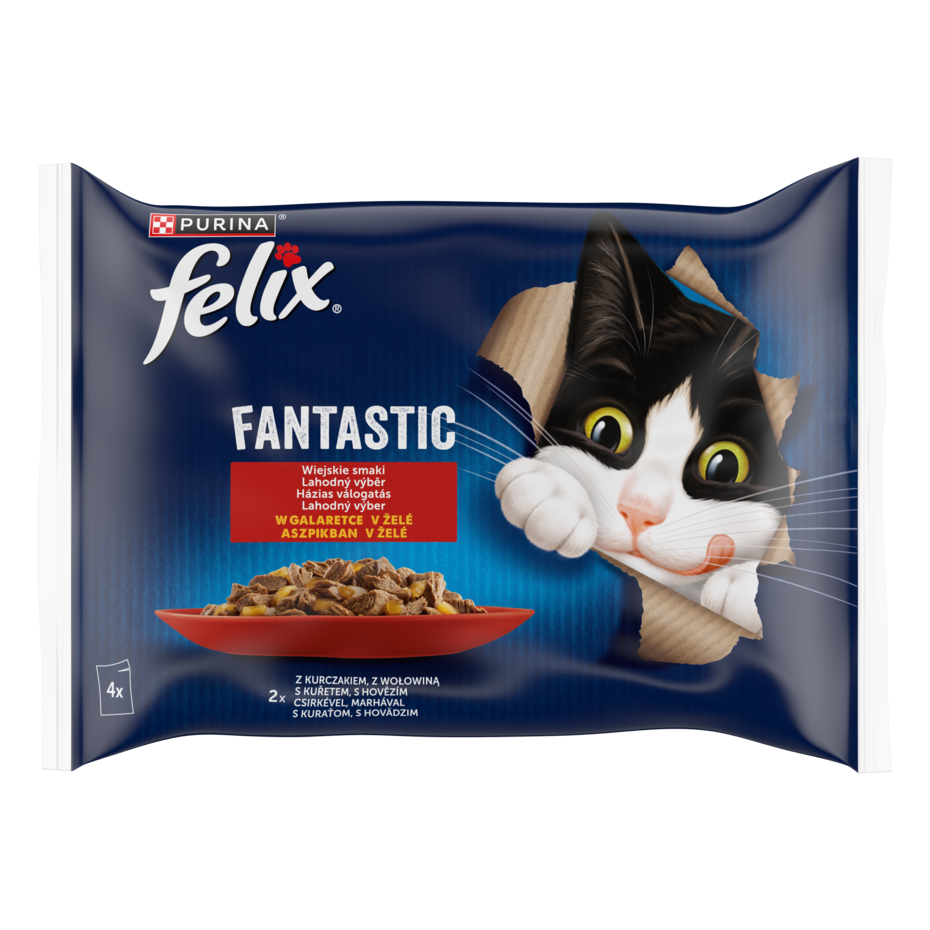 Felix