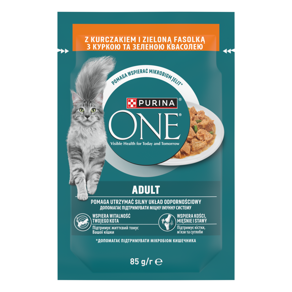 Purina® ONE® Adult z Kurczakiem