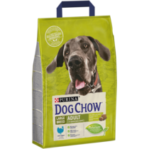 Purina DOG CHOW Large Breed Adult z Indykiem