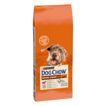 Dog Chow Mature Senior z Jagnięciną