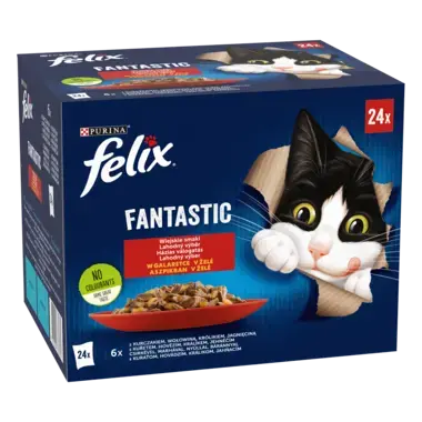 Felix fantastic packshot 24