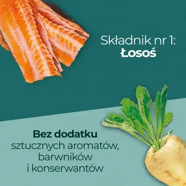 PURINA ONE DUAL NATURE Żurawina Sterilized Łosoś