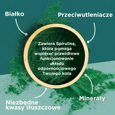 PURINA ONE DUAL NATURE Spirulina Sterilized Wołowina 750g