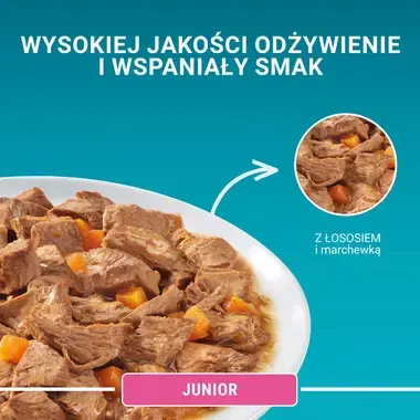 Purina One Junior z łososiem - wysokiej jakości odżywienie i wspaniały smak