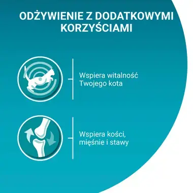 Purina One Adult z kurczakiem mokra karma dla kota wspiera mikrobiom jelitowy