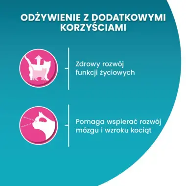 Purina One Junior z kurczakiem - wysokiej jakości odżywienie i wspaniały smak