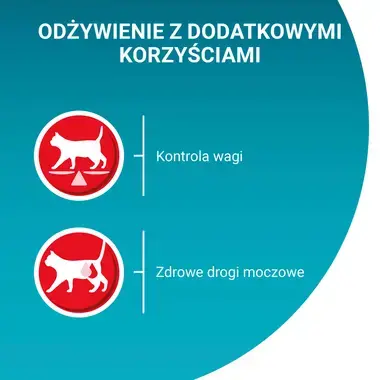 Purina One Sterilcat z indykiem - odżywienie z dodatkowymi korzyściami