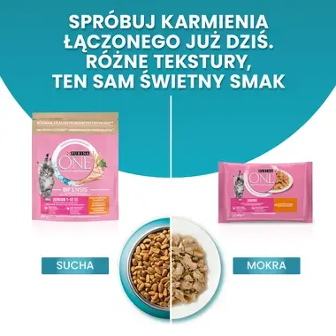 Purina One Junior z kurczakiem karmienie łączone sucha i mokra karma dla kota