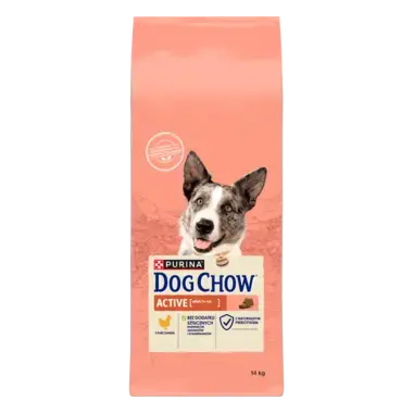 dogchow