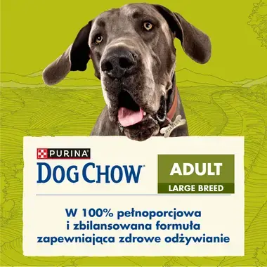 dogchow