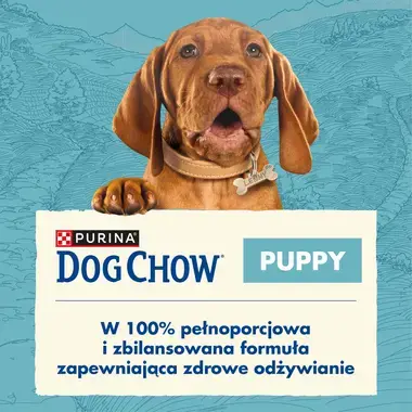 dogchow
