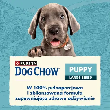 dogchow