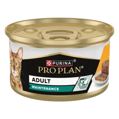 PRO PLAN Adult MAINTENANCE
