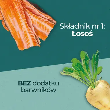 Purina ONE DualNature™ Żurawina Sterilized Łosoś