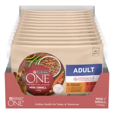 Purina ONE® Mini <10 kg Adult z Kurczakiem oraz Wołowiną