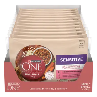 Purina ONE® Mini <10 kg Sensitive z Łososiem