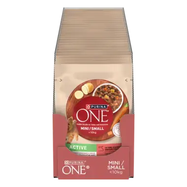 Purina ONE® Mini <10 kg Active z Wołowiną